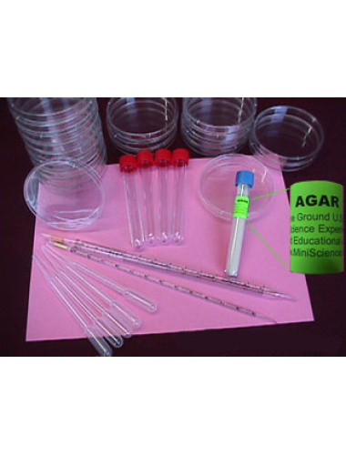 bacteria-growth-science-kit